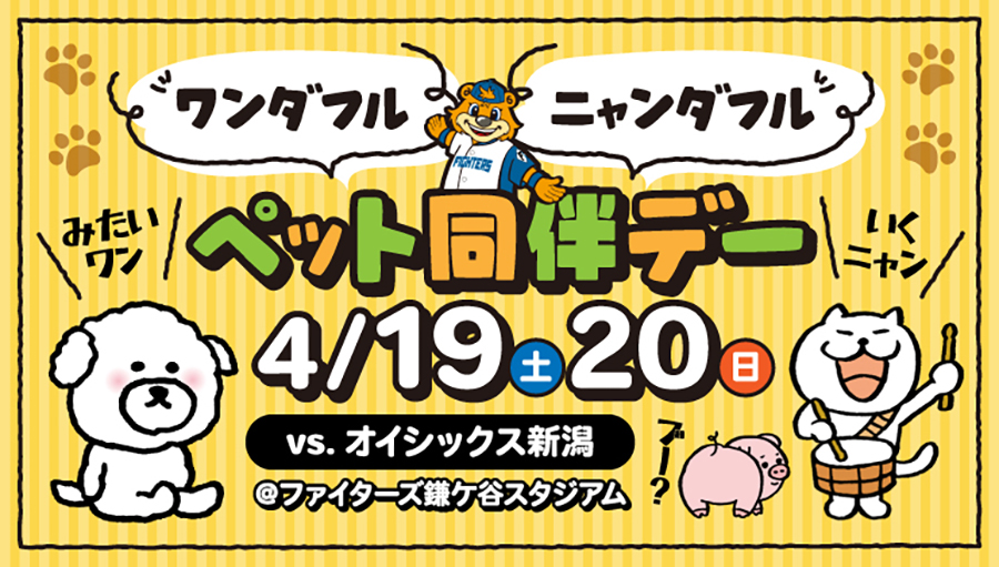 鎌スタ☆ペット同伴デーKV