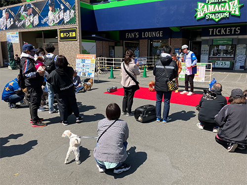 DJチャス。なりきり選手権2