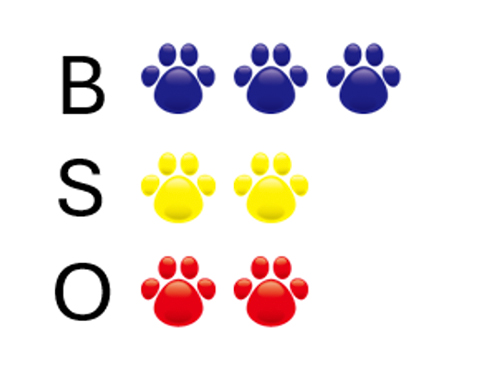 BSO肉球表示イメージ画像