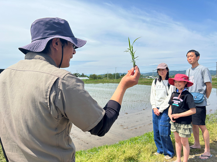 農業体験会の様子1