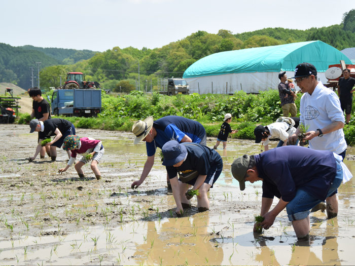 農業体験会の様子2