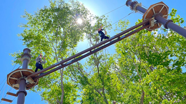 空中アスレチック