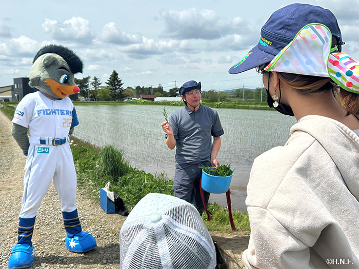 田植えの様子02