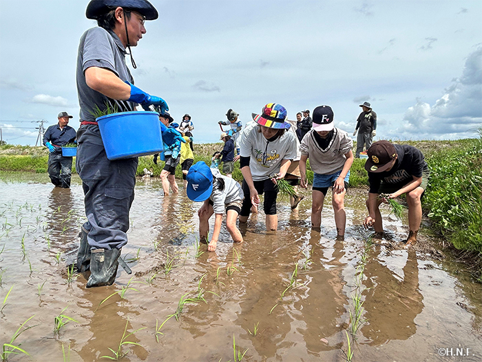 田植えの様子03