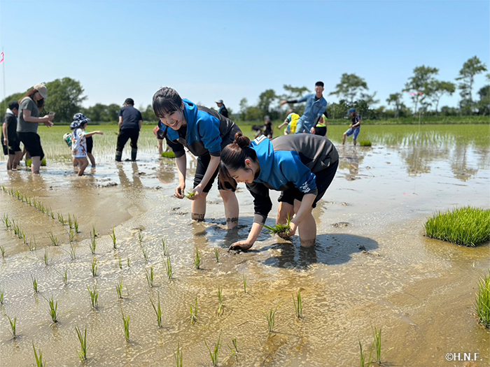 田植えの様子01