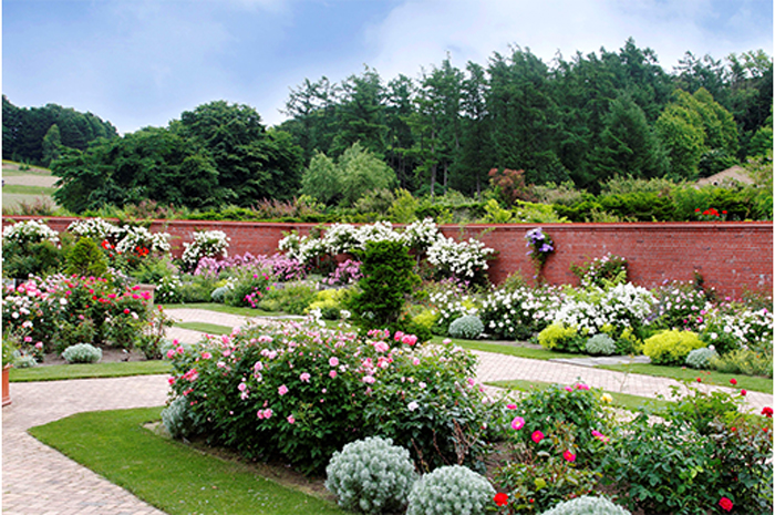 ローズガーデン