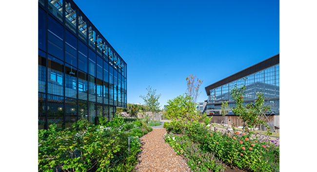 クボタのガーデン