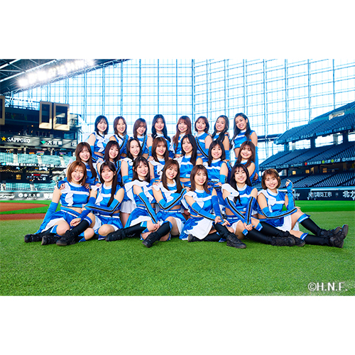 ファイターズガール