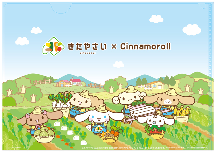 シナモロール×きたやさいオリジナルクリアファイル