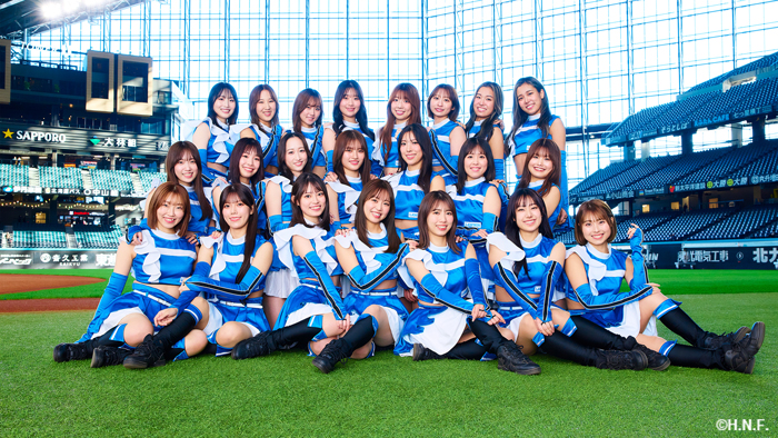 ファイターズガール