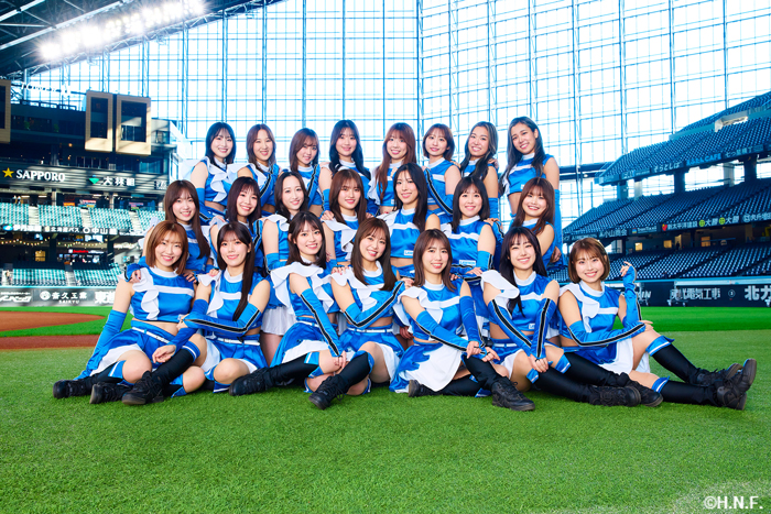 ファイターズガール