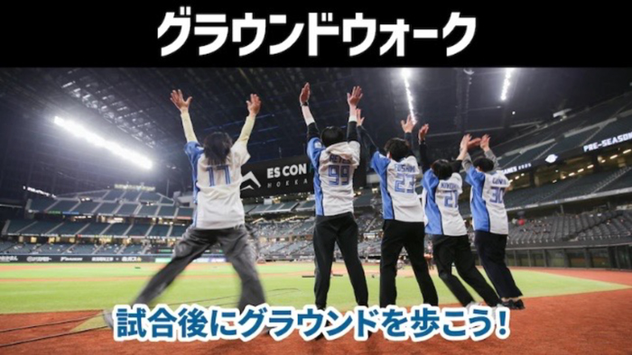 外野エリアグラウンドウォーク