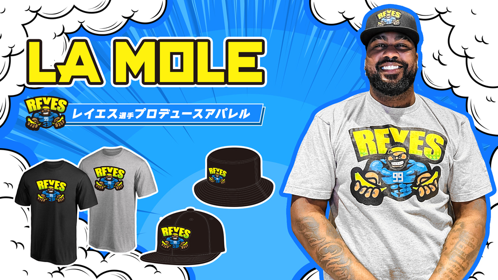 レイエス選手プロデュースアパレル発売！大漁旗風グッズも
