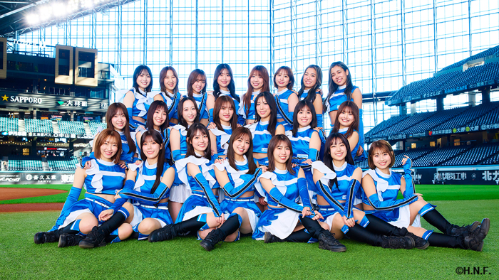 ファイターズガール