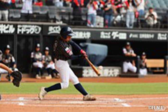 日本ハム ファイターズ　2球　練習球　野球ボール　公式球　北海道　プロ　エスコン 日本ハム ファイターズ 2球 練習球 野球ボール 公式球 北海道