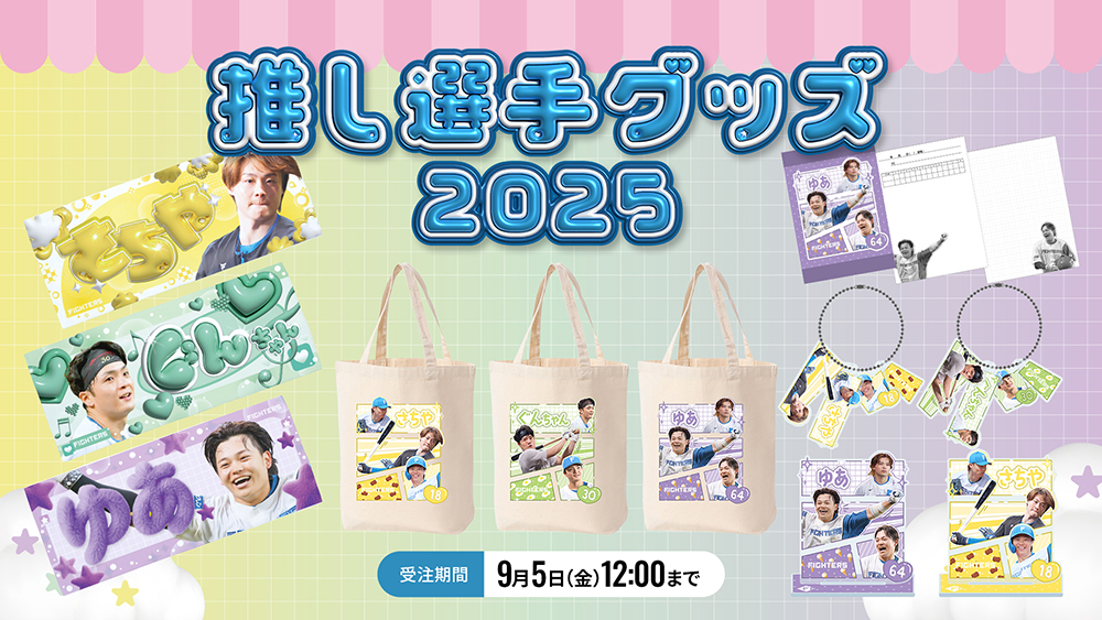 北海道日本ハムファイターズ - 日本ハムファイターズ応援セット　16点まとめ売り 北海道日本ハムファイターズ - 日本ハムファイターズ応援セット