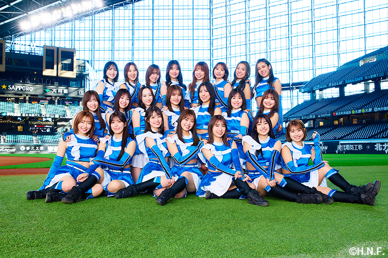 ファイターズガール