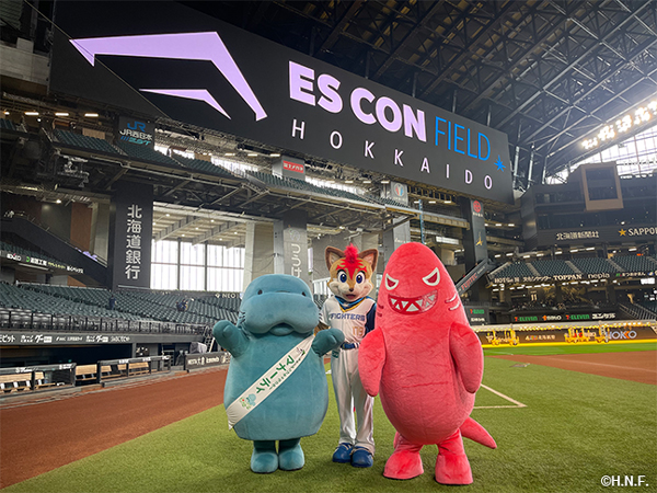 北海道日本ハムファイターズ FAV エスコンフィールド北海道 開業記念スタジャン Amazon.co.jp: 北海道日本ハムファイターズ エスコンフィールド