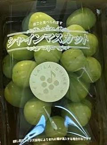 シャインマスカット