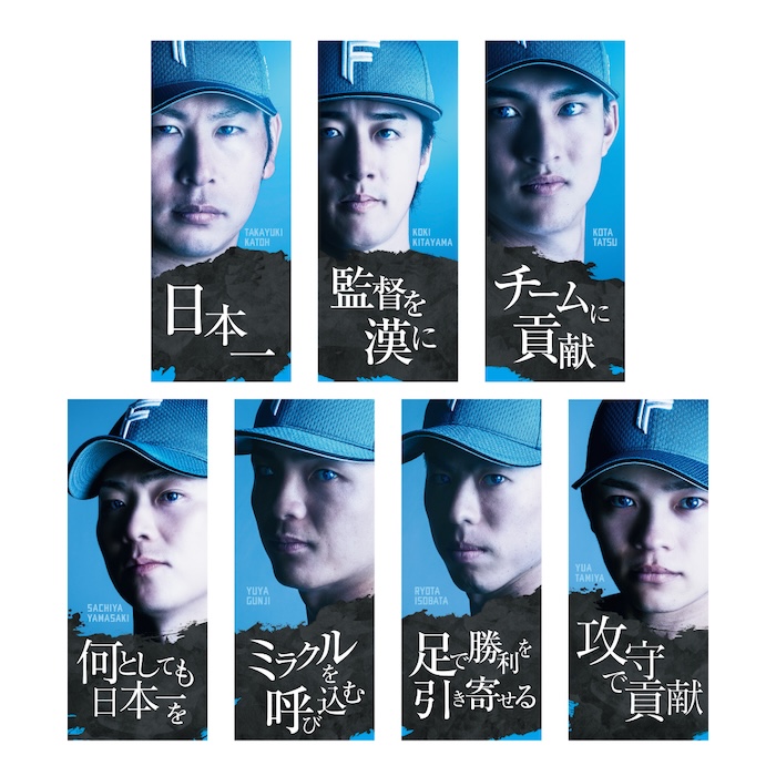 ファイターズ エスコン 来プレ 2025 Tシャツ6枚コンプセット FAV限定 ファイターズ エスコン 来プレ 2025 Tシャツ6枚コンプセット FAV