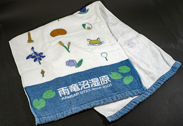 雨竜沼湿原タオル画像