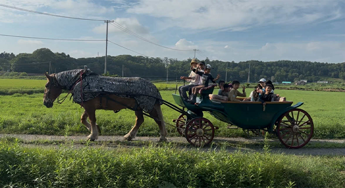 馬車体験