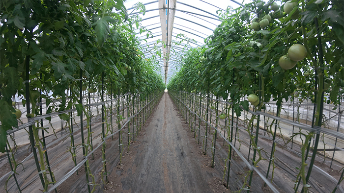 タキロンシーアイアグリ株式会社