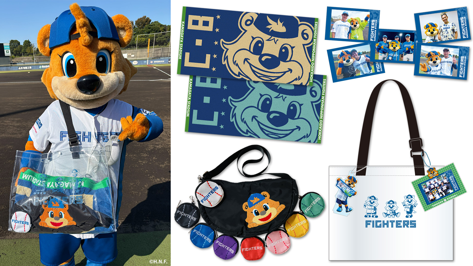 福袋に含まれる商品のイメージ