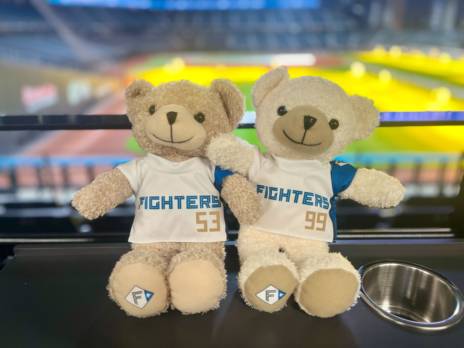 カスタムしたハピモコ