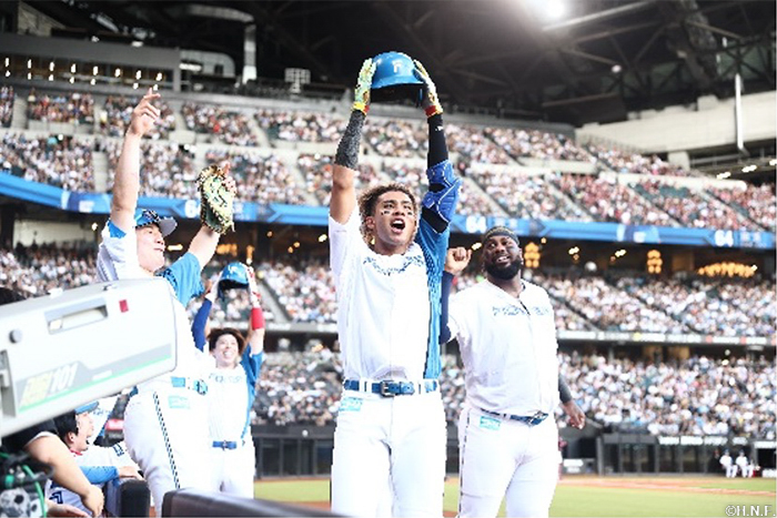 パイナポーフォトスポット