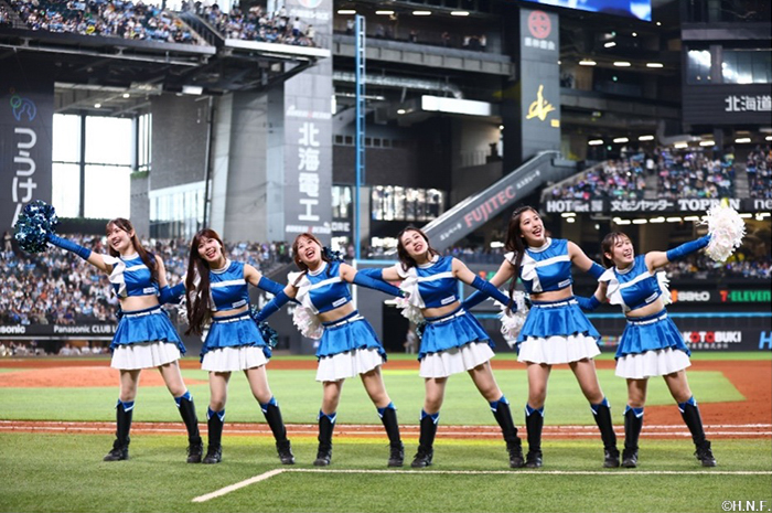 ファイターズガール