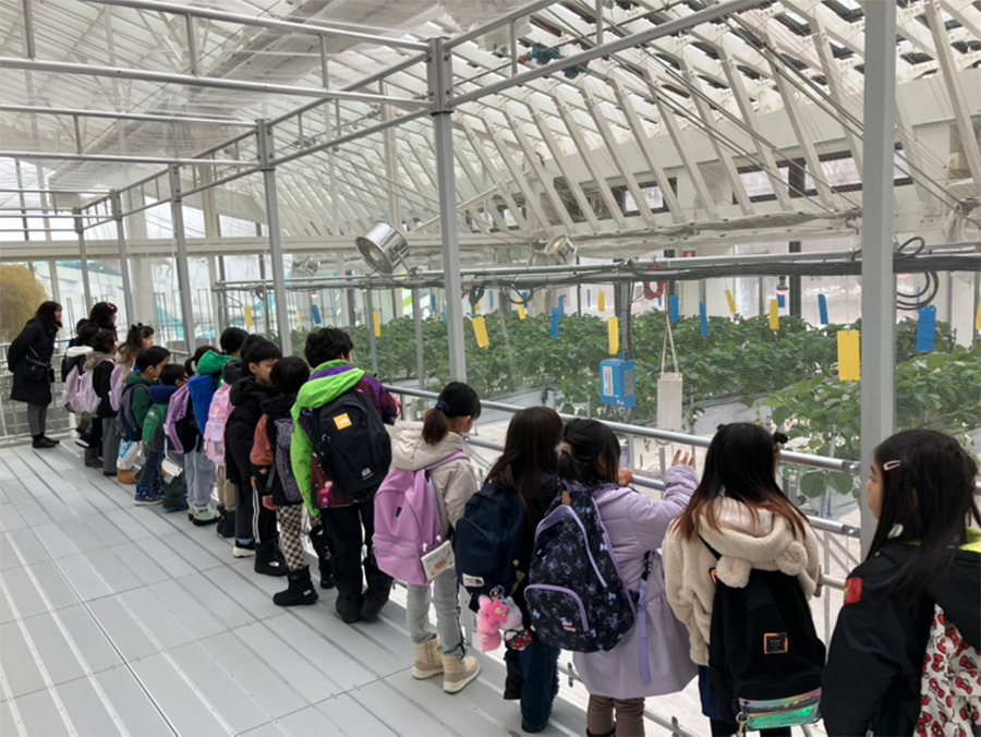 KUBOTA AGRI FRONT見学01