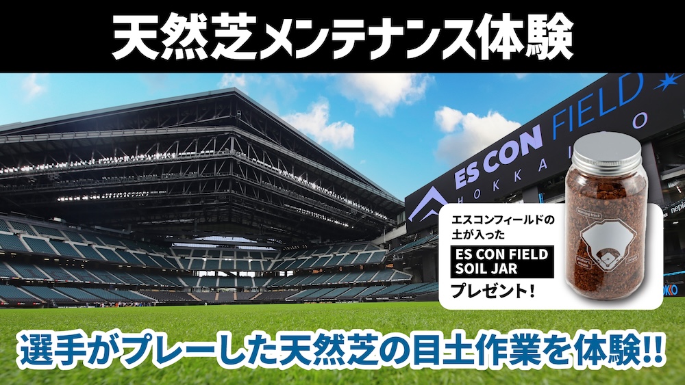 天然芝メンテナンス体験