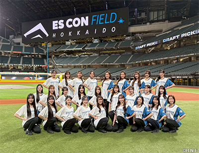 ファイターズガール