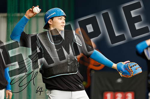 アイテムサンプル