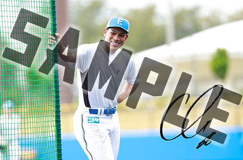 アイテムサンプル