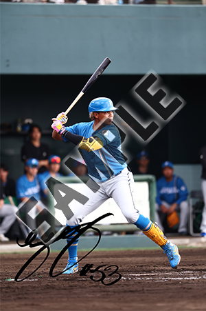 アイテムサンプル