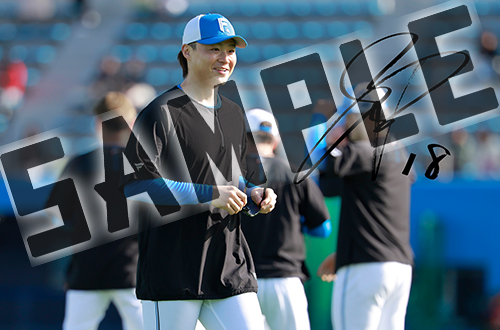 アイテムサンプル