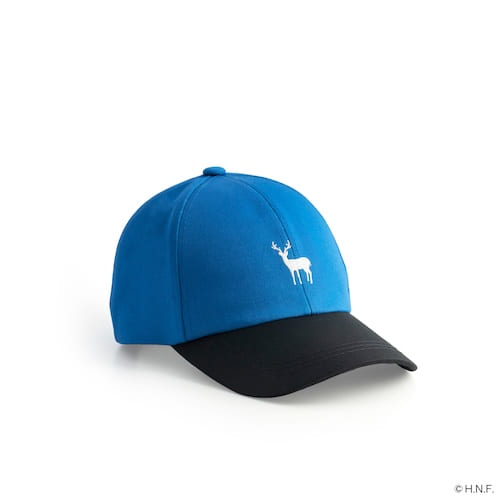 F/MODE TNOC THE CAP DAY FIGHTERS BLUE