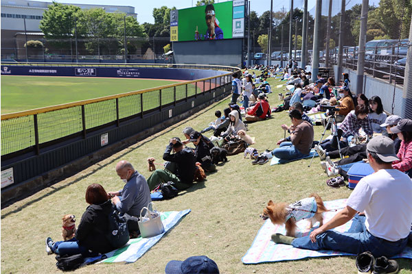ペット同伴観戦エリアの様子