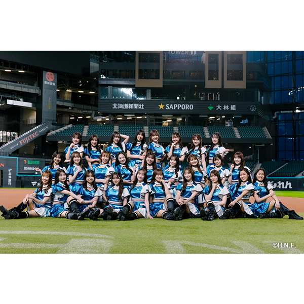 ファイターズガール