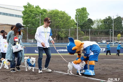 ペットと一緒にベースランニングの様子1