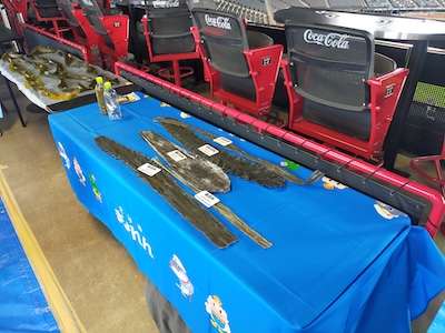 ＜昆布の実物展示＞