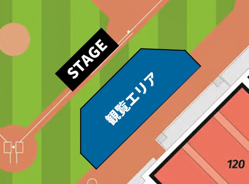 観覧エリア グラウンド内 1塁側ベンチ付近