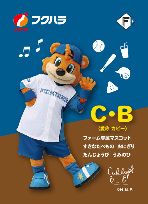 オリジナルカード裏面
