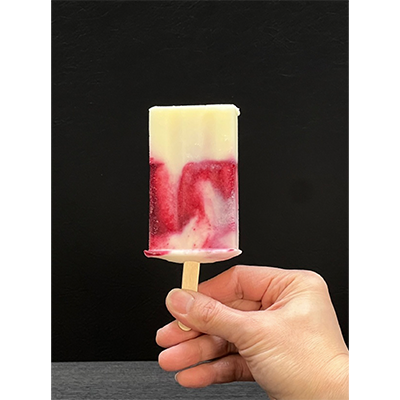 アイスキャンディー（500円）