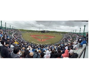 今年のファーム道内試合開催風景2