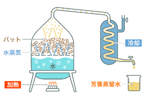 「水蒸気蒸留」図解