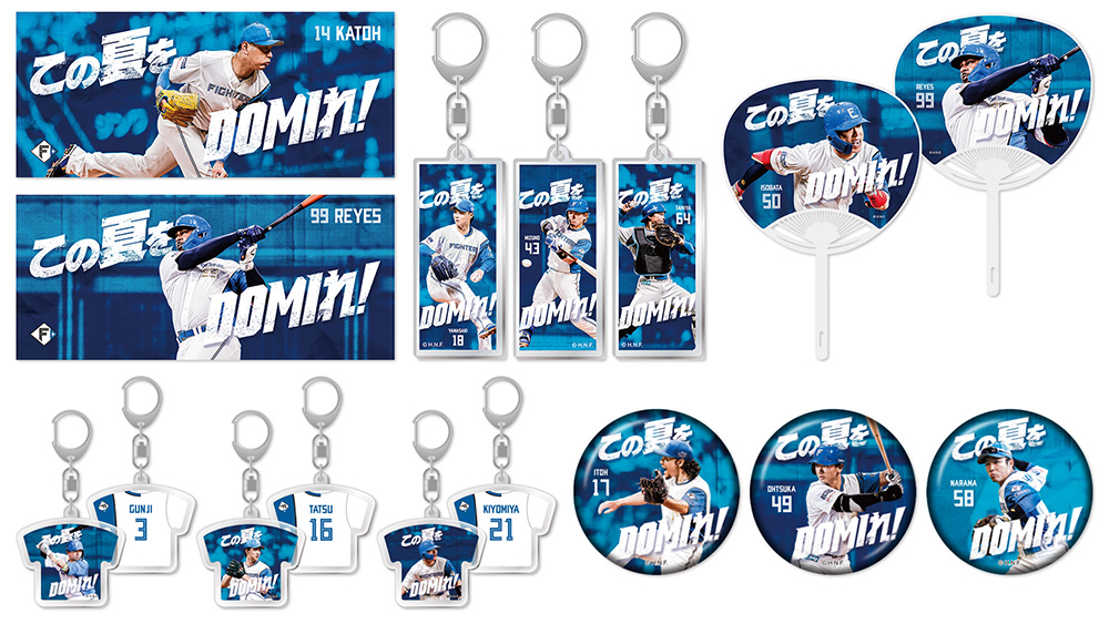 この夏をDOMIれ！グッズ