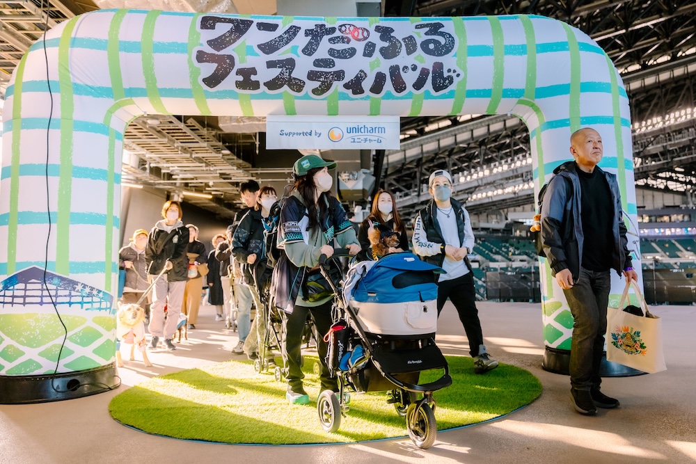 ワンだふるフェスティバル2026